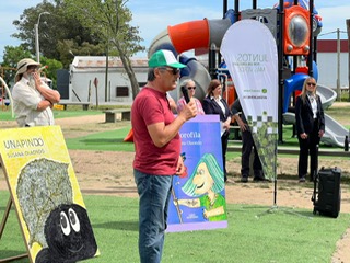 Producción de plantines