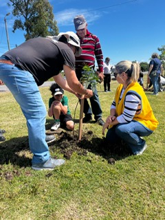 Ejemplo de plantación