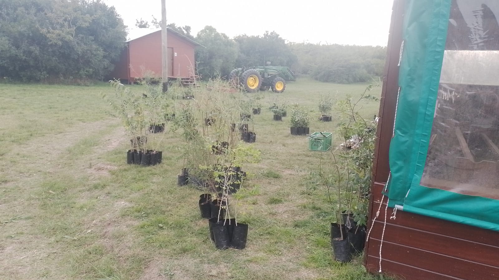Plantación Puente Negro