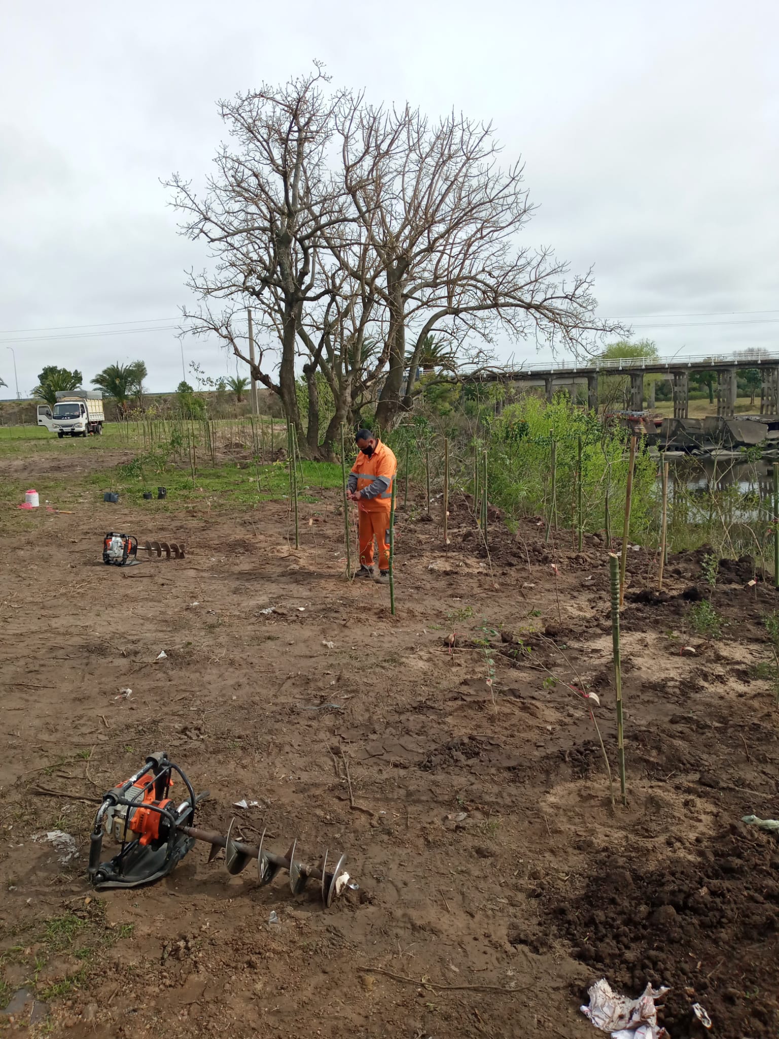 Restauración de suelos