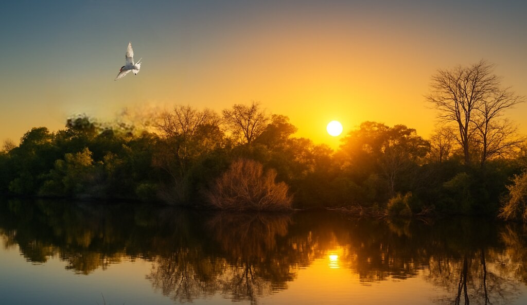 Río Rosario al atardecer